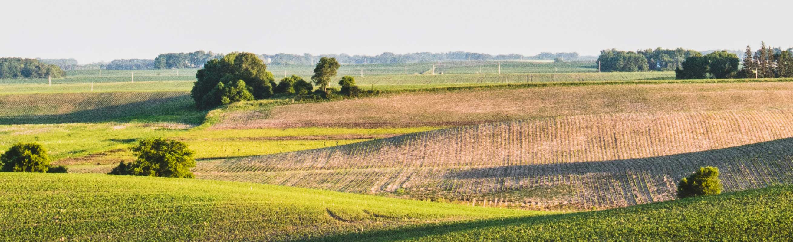 Agregar Alt de la imagen