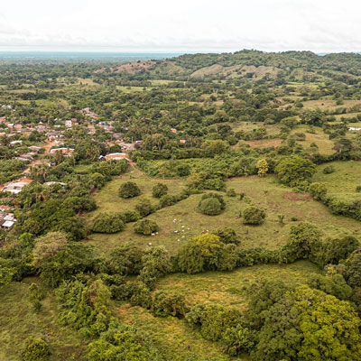 Agregar ALt de la imagen