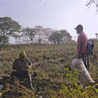 Agregar ALt de la imagen