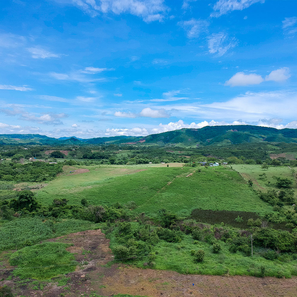 Agregar alt de la imagen