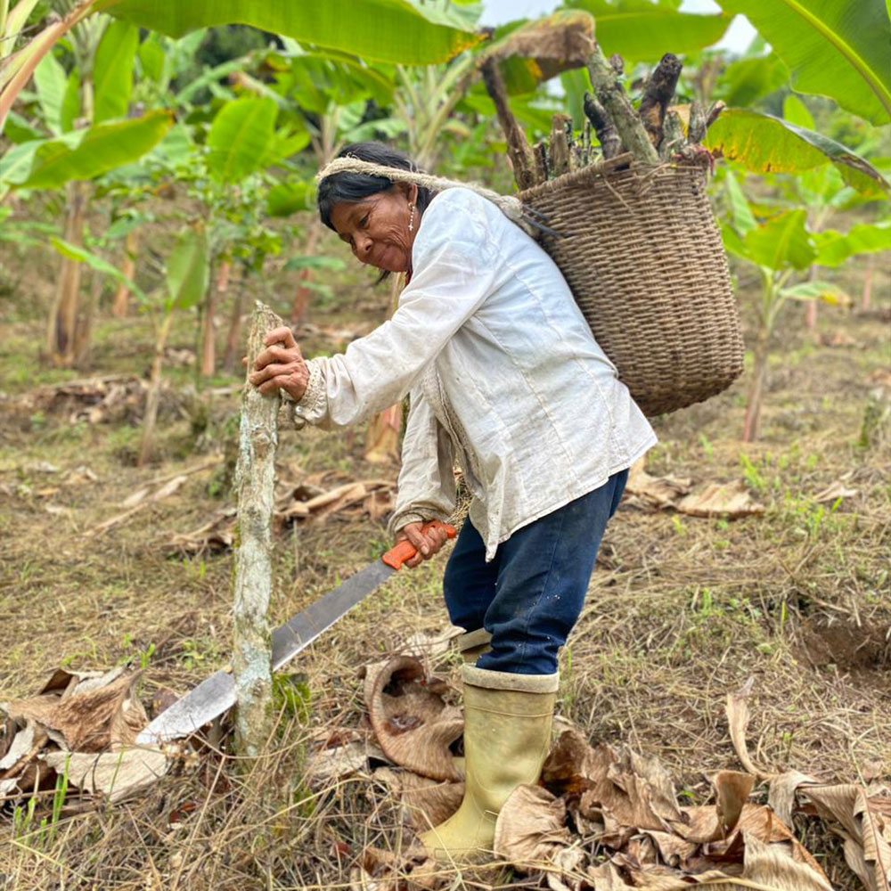 Agregar alt de la imagen