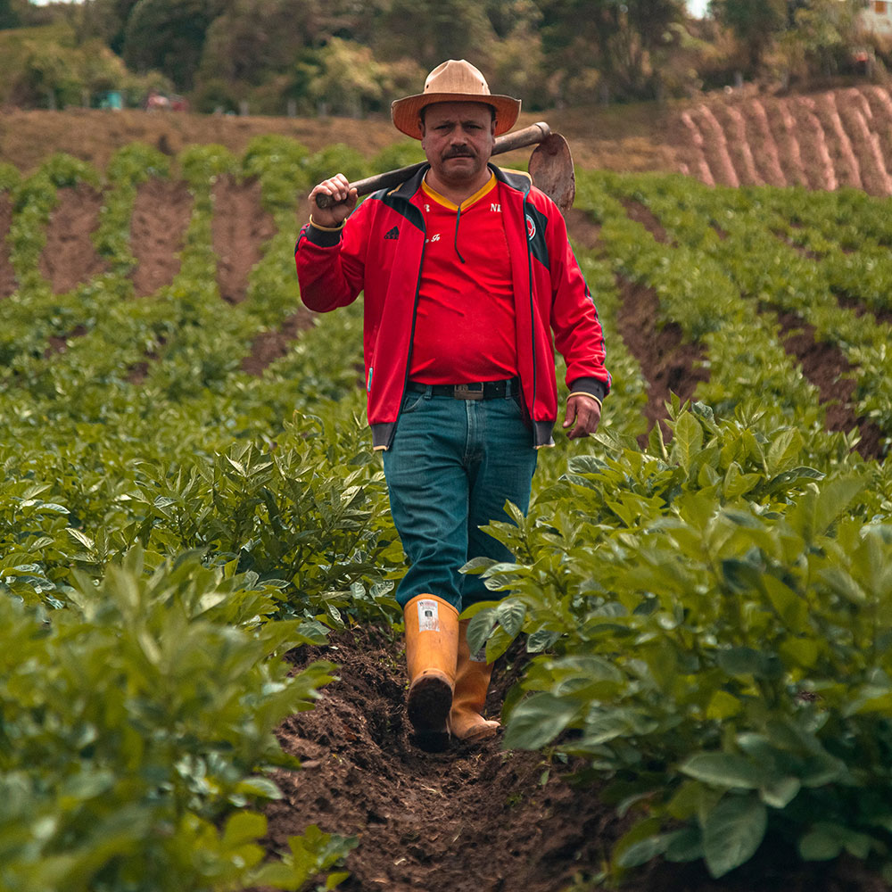 Agregar alt de la imagen